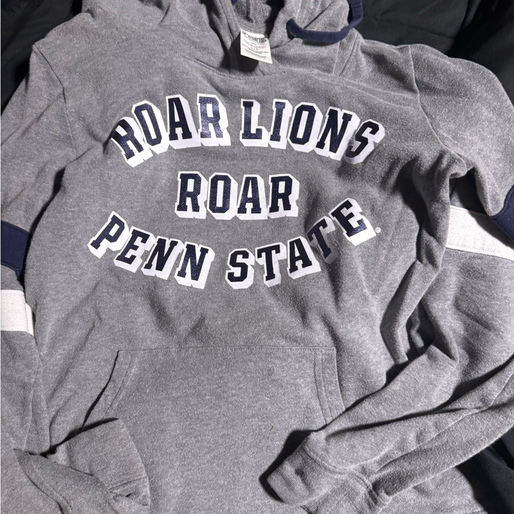 PINK Victoria's Secret Gray Roar Lions Hoodie